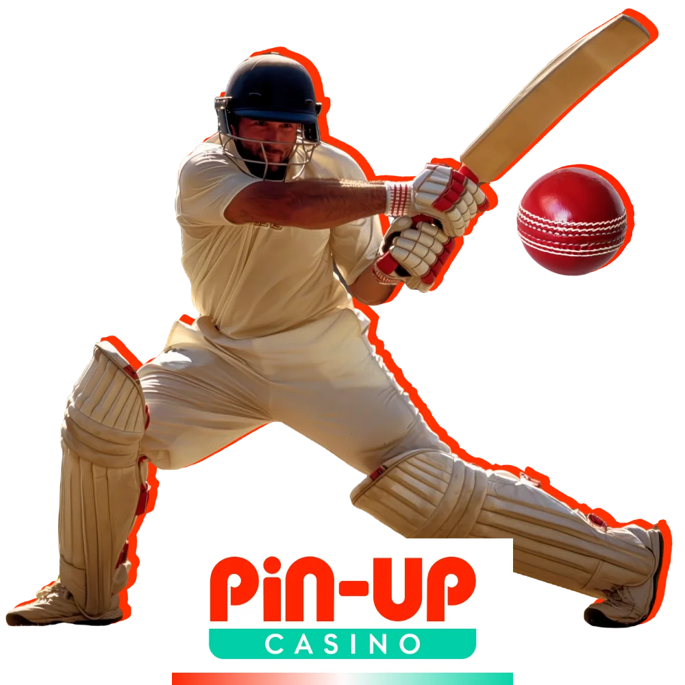 Pin-Up official website provides online casino and sports betting in India.