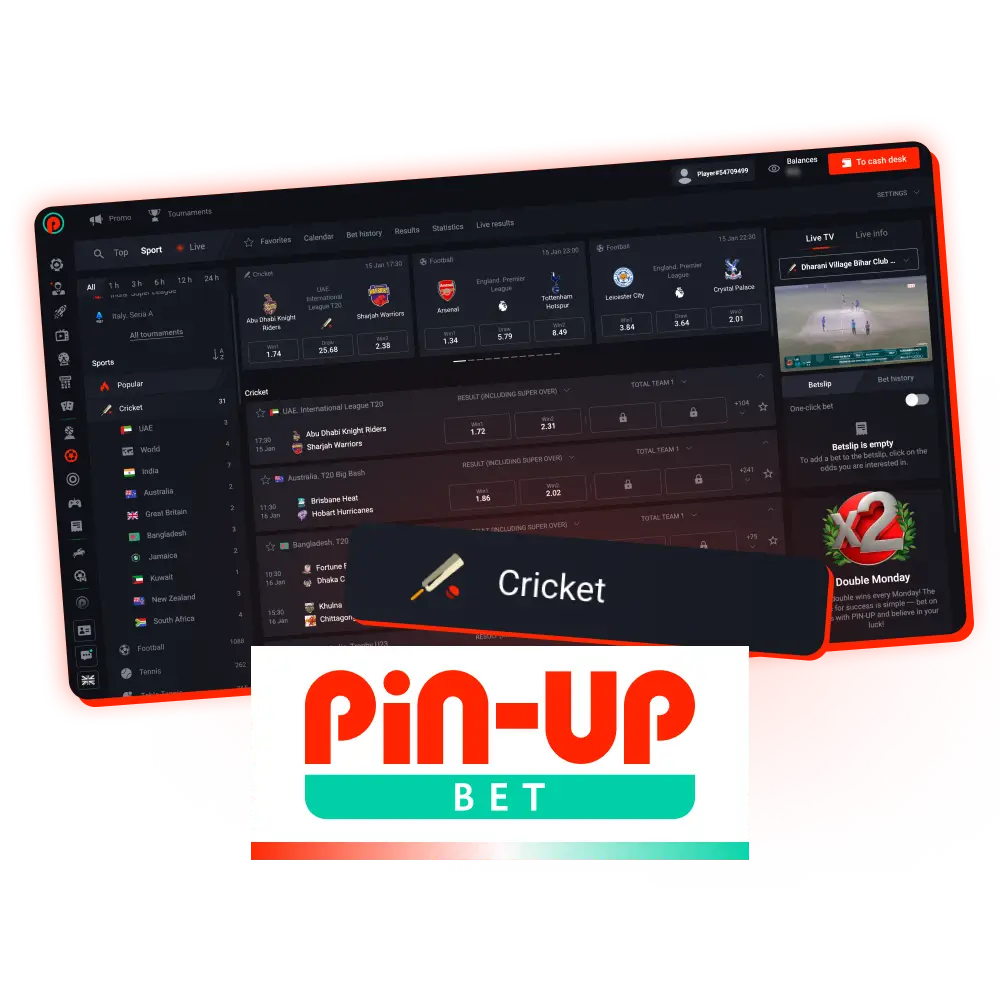 Pin-Up platform is a great chance to start betting on cricket.